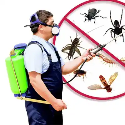 pest control Howard City